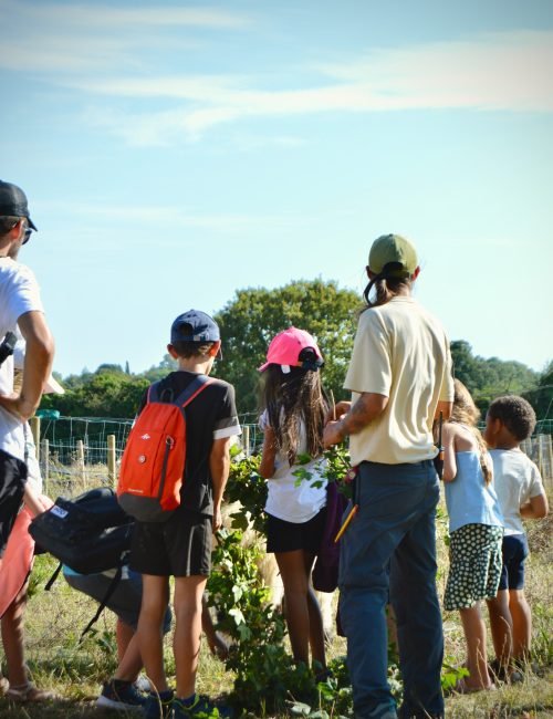 Animations & accueil scolaires et CSC au Parc Du Coq à l'Âne